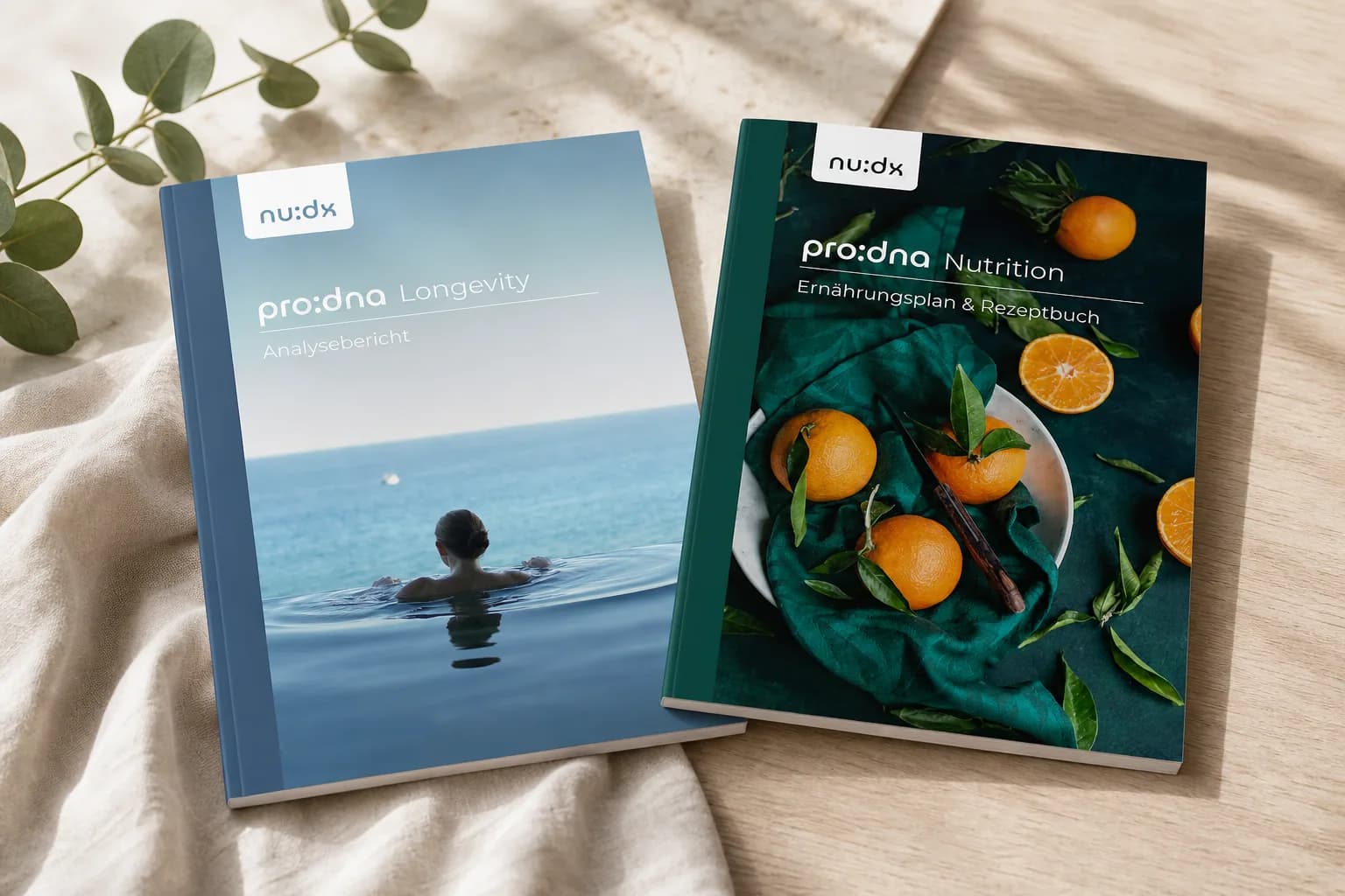 Reports & Rezeptbuch
